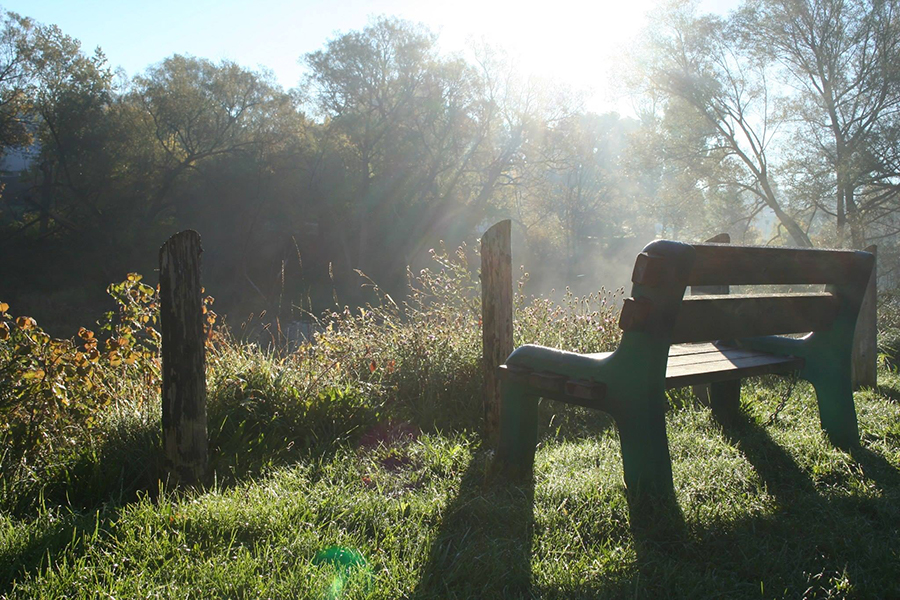 Kevin-Arthur-Land-bench